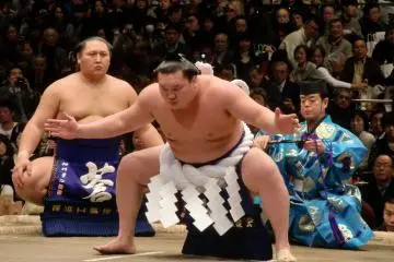 The Power of Sumo