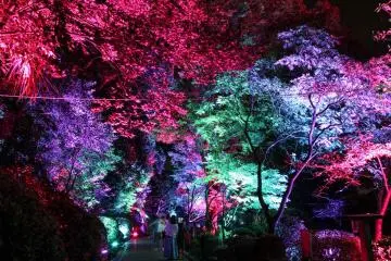 Beppu Umi Jigoku (Sea Hell) Night