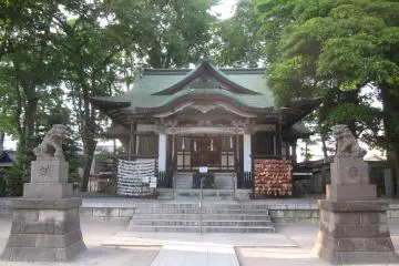Gallery image