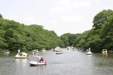 A Stroll Through Kichijoji