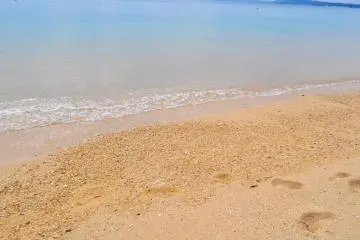 The beautiful beach with warm water, soft sand and plenty of hermit crabs. (Photo: Michelle Madden)