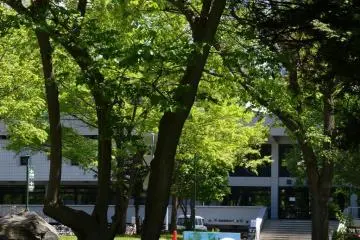 Art in the park at Hokkaido University Campus