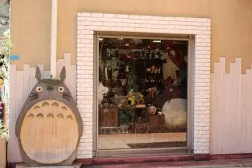 Totoro by the window (Photo: Erika Clark )