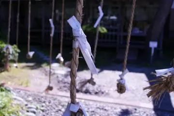 Hoping for good fortunes