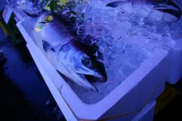 Hakodate's Ekini Market