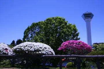 I leave on foot from Goryokaku Park