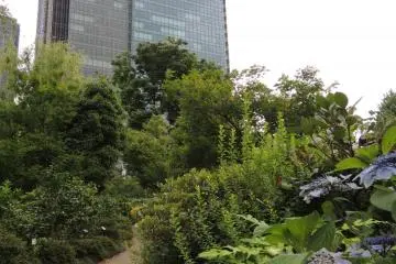 Midtown tower in the back (Photo: Eitetsu Terakdo)