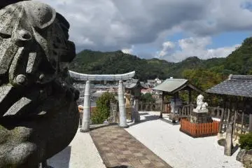 Gallery image