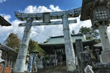 Gallery image