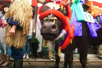 Mibu no Hana Taue 2026