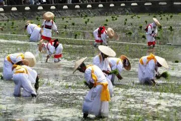 Festival de Plantation du Riz 2026