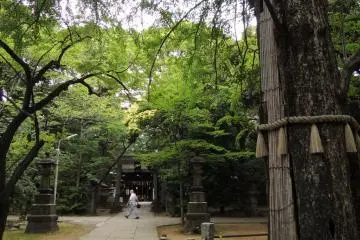 Gallery image