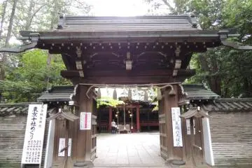 Gallery image