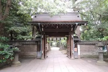 Gallery image