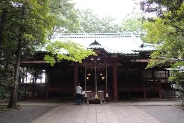 Gallery image