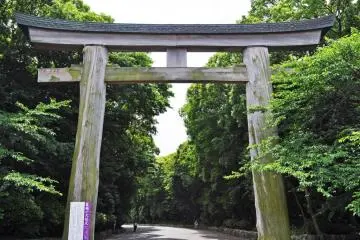 The impressively tall torii gate made of Japanese cypress. (Photo: Michelle Madden)
