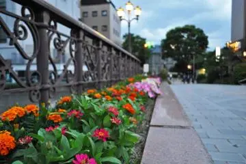 The city has wonderful flower beds that add some nice colour to the city landscape. (Photo: Michelle Madden)