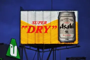 What is a Japanese city without it's iconic billboards? (Photo: Michelle Madden)