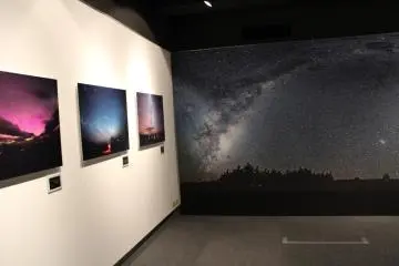 Gallery image