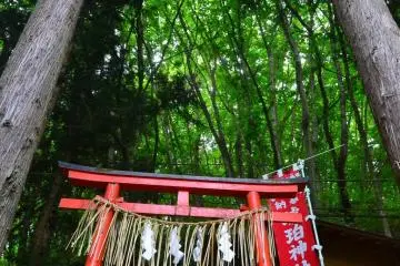The shrine gate in front of the old tunnel.