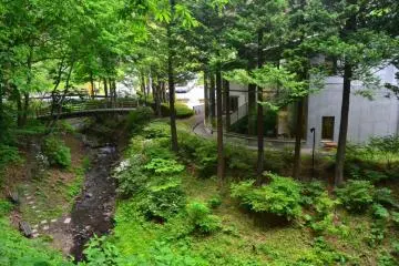 Rear view of Kuji Amber Museum main building, located by a small stream and surrounded by forests.
