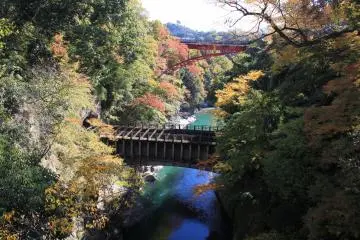 Tokyo: Best of the West
