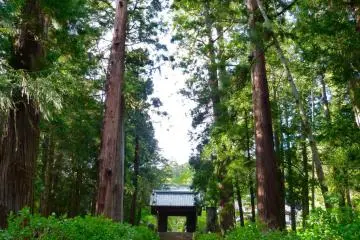 Gallery image