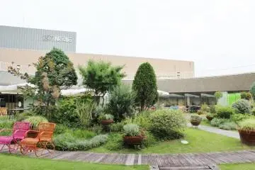 Garden on the cinema floor (Photo: Erika Clark )