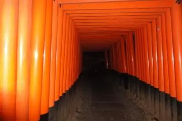 Fushimi Inari at night