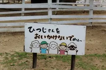 Please don't chase the sheep! (Photo: Erika Clark )