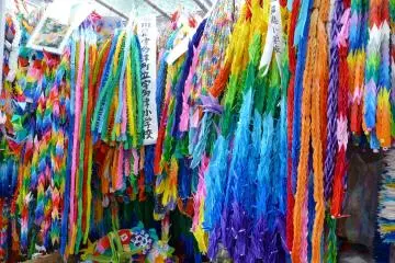 Kids, Colors and Cranes