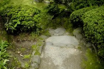 Steps Toward the Pond (Photo: Takane Shoji )