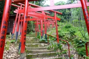 There are more red gates waiting for you around every turn