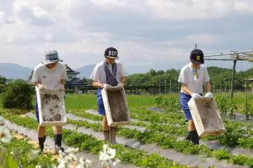 The Farm Life and Legends of Tono