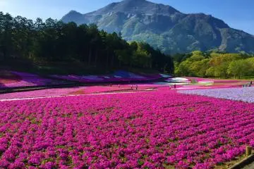 Discover Nature in Chichibu