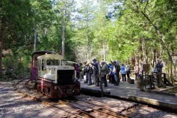 Akasawa Forest Railway