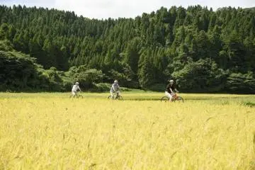 Satoyama Living in Wajima, Noto