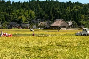 View of the region