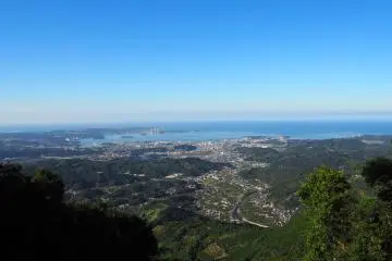 Mikan Country in Tanabe, Wakayama