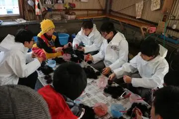 Sea urchin handling experience