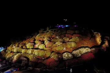 Illuminations at the Azalea Festival
