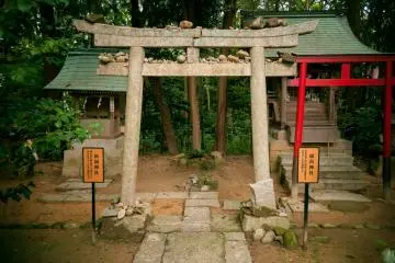 Gallery image