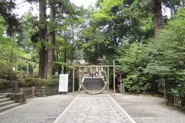 Gallery image