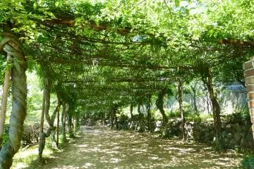 Beautiful green spaces surprise at every turn