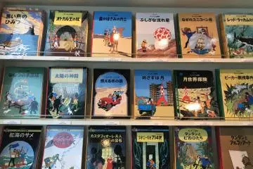 The Tintin Store