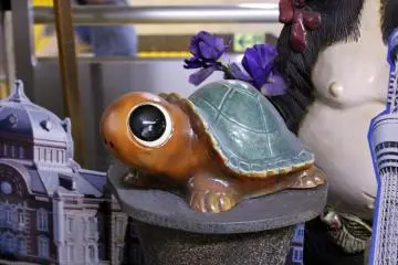 Turtle (Photo: Erika Clark )