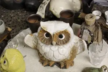 Owl: for wealth (Photo: Erika Clark )