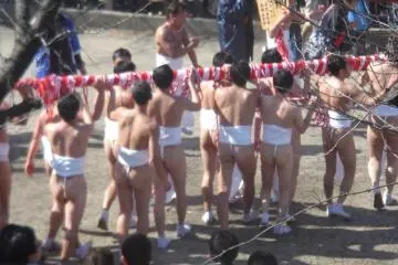 Naked men carrying the various portable shrines around Konomiya (Photo: PPF)
