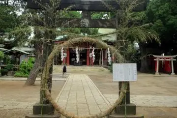 Gallery image