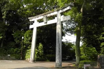 The Miyazaki Shrine Forest - Part 3